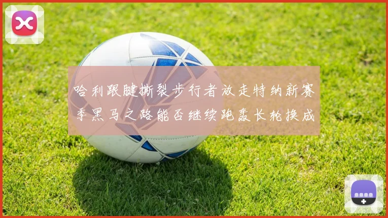 哈利跟腱撕裂步行者放走特纳新赛季黑马之路能否继续跑轰长轮换成关键