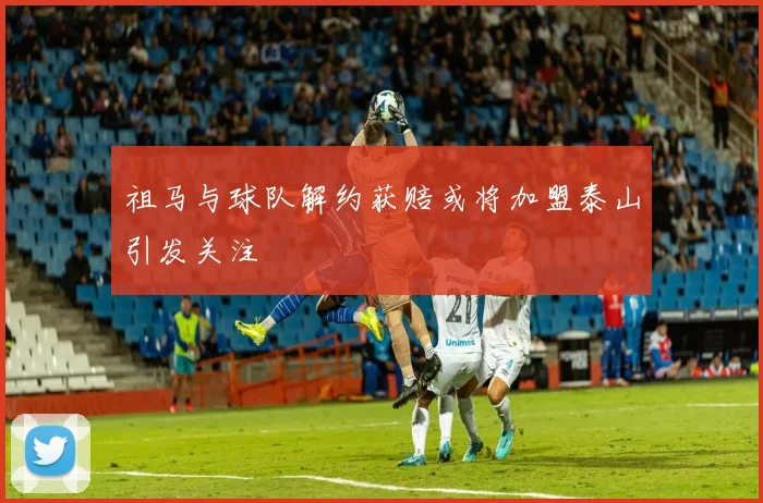 祖马与球队解约获赔或将加盟泰山引发关注