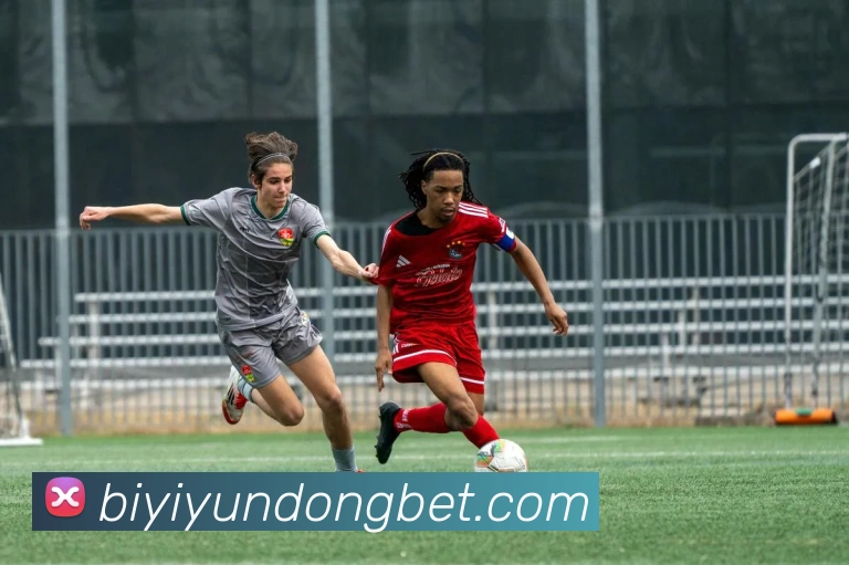 必一体育平台生态图