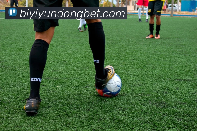 必一体育APP 封面图