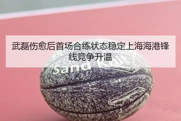 武磊伤愈后首场合练状态稳定上海海港锋线竞争升温 - BSports